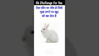 GK Top 20 Questions  GK Quiz  GK in Hindi  GKGS  gk railway brgkstudy gkfacts quiz [upl. by Manup]