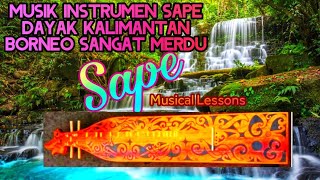 1Jam Musik Instrumen sape DAYAK kalimantan sangat merdu [upl. by Raual]