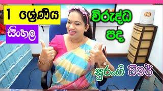 Sinhala Lessons Grade 1 Virudda Pada Grade 1 විරුද්ධ පද Wirudhdha Pada Sinhala Akuru Hodiya [upl. by Clie]