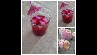 Purple Prickly Pear Margarita Mocktail [upl. by Oer306]