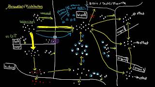 Distribution  Pharmacokinetics  Pharmacology Lect 4 [upl. by Garzon]