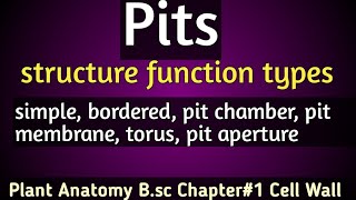 Pitscellwallsimple pitsbordered pitsstructurefunctionjtacademy [upl. by Pate]