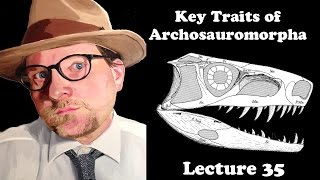 Lecture 35 Key Traits of Archosauromorpha A new group of Diapsid Reptiles [upl. by Nnaitak413]