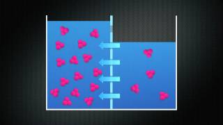 Diffusion Osmosis and Tonicity [upl. by Hurlee]