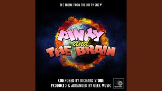 Pinky And The Brain Main Theme From quotPinky And The Brainquot [upl. by Petty]