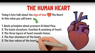 Heart Structure amp Function in 5 mins  GCSE  IGCSE  NEET  Biology [upl. by Daniyal]