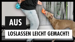 Tauschgeschäft im Hundetraining  So lernt dein Hund loszulassen  Kommando AUS Tag 7 [upl. by Adnowal654]