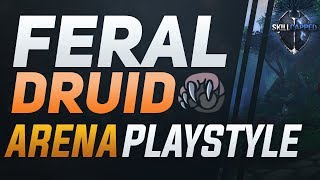 Feral Druid BfA 3v3 Arena Guide  Best Comps PvP Talents Azerite Traits and Playstyle [upl. by Nosyd]