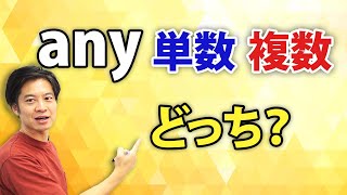 【中学英語】anyの後に来るのは単数形、複数形？ [upl. by Llewol570]