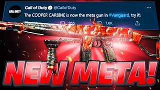 SECRET COOPER CARBINE  META AR in VANGUARD Best COOPER CARBINE Class Setup [upl. by Cyna161]