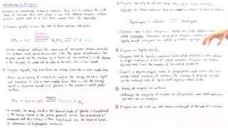 Properties of Enzymes [upl. by Sucramrej]