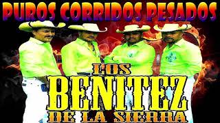 Los Benítez de La Sierra  Puros Corridos Pesados Exitos Mix 2020 [upl. by Kaz829]