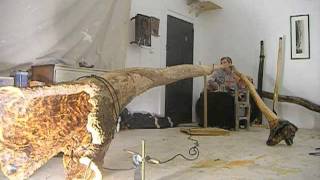 Biggest Solid Didgeridoo on the Planet  The GAIA GUM [upl. by Akienat814]