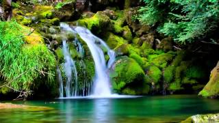 Musica relajante Sonidos Naturaleza Relaxing Music Nature Sounds [upl. by Lehacim]