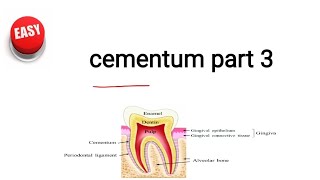 cementum part 3 [upl. by Aneeg]