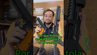 A VERDADE Por que 9mm tá Restrito e 12GA é Permitida shorts [upl. by Kcirrem]