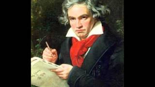 Beethoven  Piano Sonata No 1 in F minor Op 2 No 1  IV Prestissimo [upl. by Elvina411]