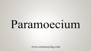 How To Say Paramoecium [upl. by Roane]