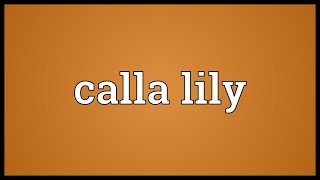 Calla lily Meaning [upl. by Taro752]