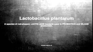 Medical vocabulary What does Lactobacillus plantarum mean [upl. by Jamima]