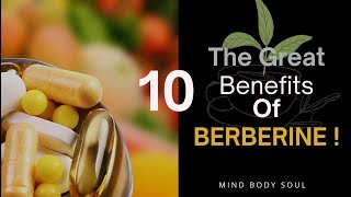 10 Health Benefits Of Berberine Berberine Benefits [upl. by Giamo589]