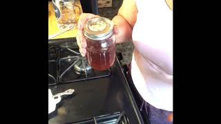 DIY Astragalus elixiramp tincture [upl. by Gina]