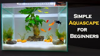 Simple Aquascape for Beginners  Java Moss  Anubias Planted Tank  Planted Aquarium Setup [upl. by Ver]