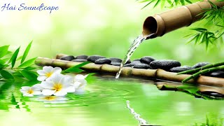 Relaxing Piano Music with Bamboo Water Fountain  Sleep Music amp Meditation Sounds [upl. by Ayoj]