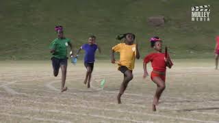 Cayon Primary School Sports Day 2024 Highlights [upl. by Ynahpets]