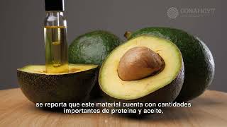 El aguacate su aceite y sus subproductos [upl. by Anaujnas]