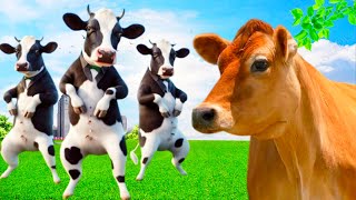 FUNNY COW DANCE 27  COW DANCE amp COW VIDEO DANCING COW [upl. by Ellenrad]