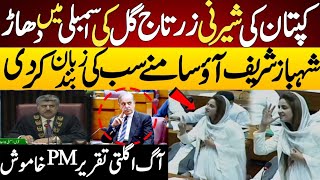 Zartaj Gull Bolting Speech in Assembly Against Shehbaz Sharif And Pmln [upl. by Ellenij]