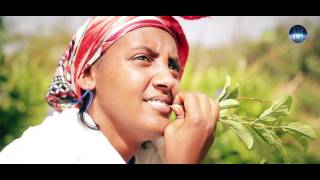 Negasi Tesfamariam  Segom  New Eritrean Music Video 2017 [upl. by Layne995]