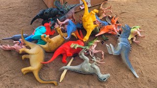 Kit de Dinossauros Surpresa 🦖 Dinossauro de Brinquedo 🦕 Oxalaia Trex Velociraptor Dinossauro [upl. by Emad414]