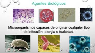 INTRODUCCIÓN AL RIESGO BIOLÓGICO Y BIOSEGURIDAD [upl. by Cloris]