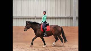 Ecole de Legerete French Classical Dressage Clinic in Melbourne  November 2018 [upl. by Hollander]