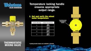 Thermostatic Mixing Valve [upl. by Xena]