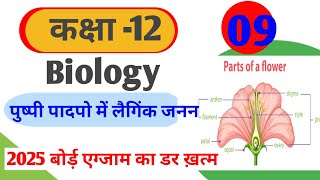 बीजांणु के प्रकार  Types of ovules  class12thbiology Reproductioninfloweringplantupboard [upl. by Hayifas]