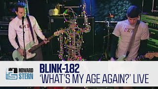 Blink182 “What’s My Age Again” Live on the Stern Show 2000 [upl. by Natelson843]