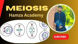 Meiosisits stages and Importance Chapter Cell cycle [upl. by Carry]