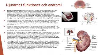 Njurarna och utsöndringsorganen  Biologi 2 100 p [upl. by Kary200]