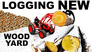 LOGGING  HAND CUTTING  A NEW WOODYARD [upl. by Nalyad136]