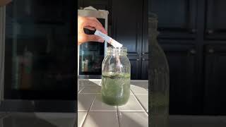 HOW I QUICKLY DEBLOAT  Greens Drink for Bloating [upl. by Ermin]