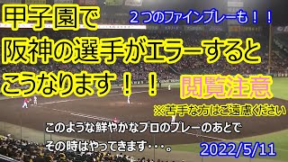 閲覧注意！甲子園で阪神の選手がエラーをしたらこうなります！２つのファインプレーで挟みましたが、苦手な方はご遠慮ください。初めて足を運ばれる方はこの動画でかるく免疫をつけてからどうぞ！2022511 [upl. by Pratt]