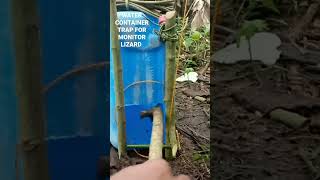 Water Container Trap For Monitor Lizard  Bayawak Hunting [upl. by Goldenberg604]