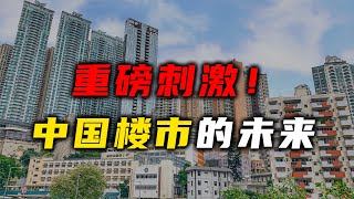 用更大的债务解决债务问题，中国楼市的未来【汤山老王】 [upl. by Suivatal403]