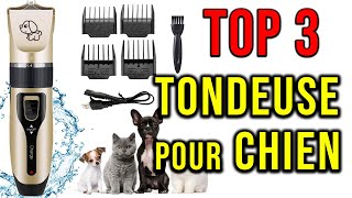 🥇 TOP3 ► Meilleure TONDEUSE pour CHIENS 2021 ✅ [upl. by Okemak921]