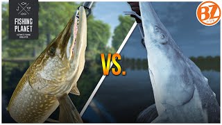 SETTLED Pike vs Sturgeon Should you go to San Joaquin Delta  Fishing Planet [upl. by Esinehc]