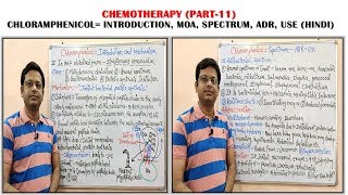 Chemotherapy of Antibiotics Part11 Chloramphenicol Mechanism of Action  Chloramphenicol Spectrum [upl. by Jarvis]