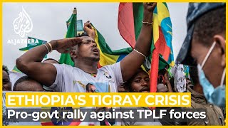 Ethiopias progovernment supporters protest against TPLF in Addis Ababa [upl. by Eynobe342]